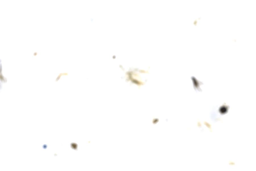 Image 100